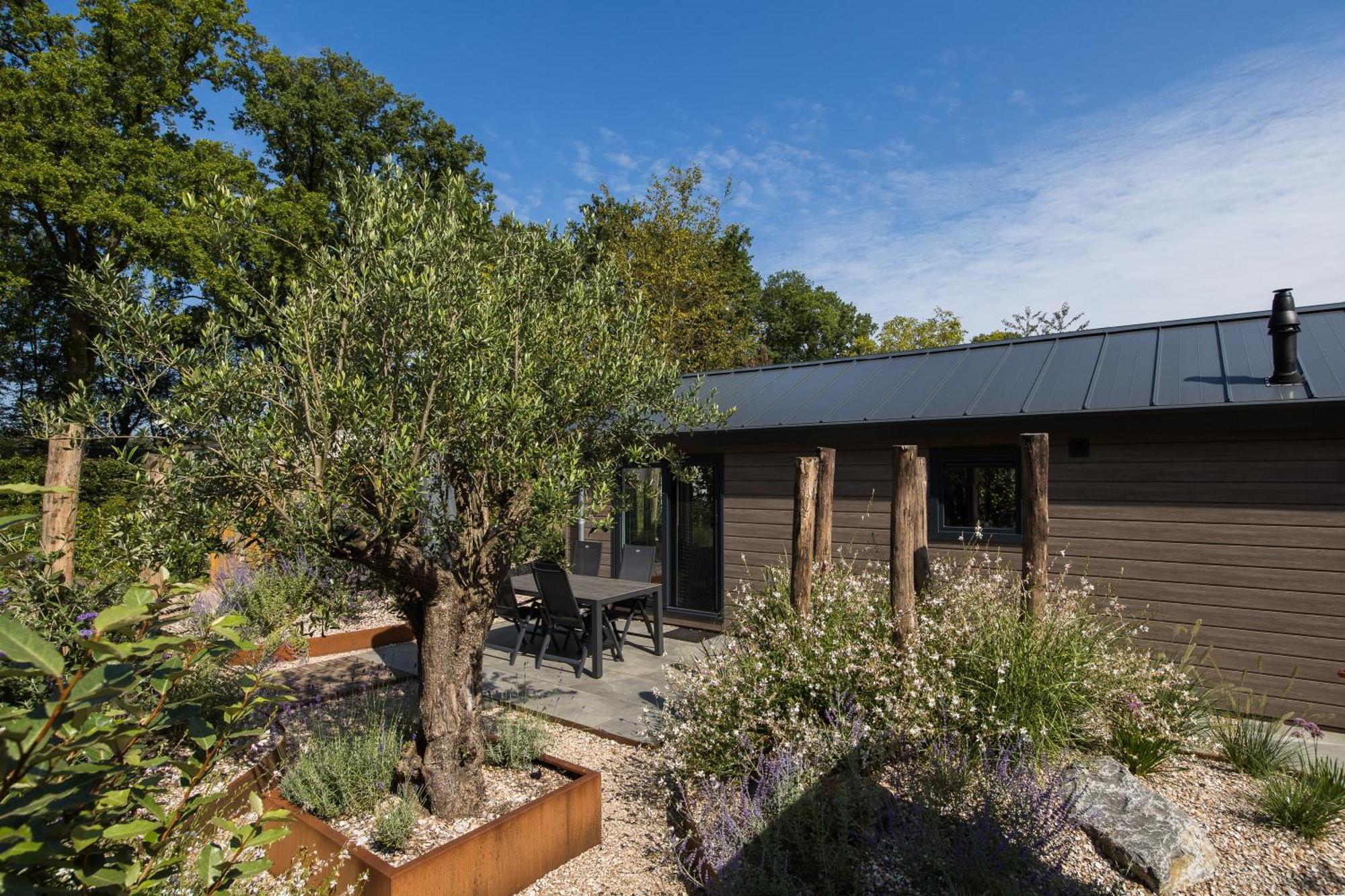 Modern Ingericht Chalet Op Groen Park Op De Veluwe Epe Eksteriør billede