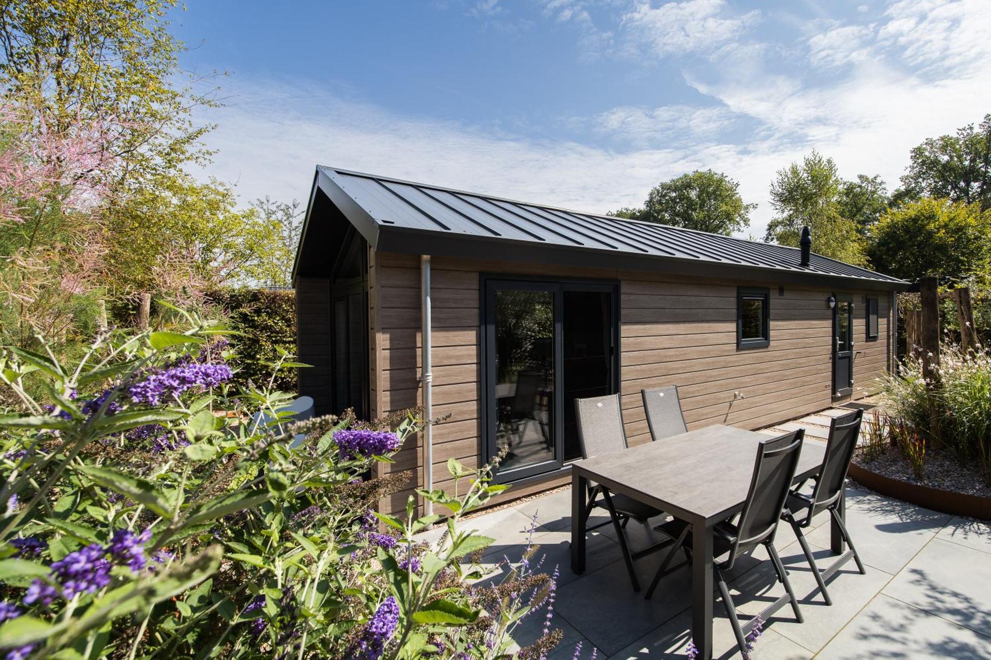 Modern Ingericht Chalet Op Groen Park Op De Veluwe Epe Eksteriør billede