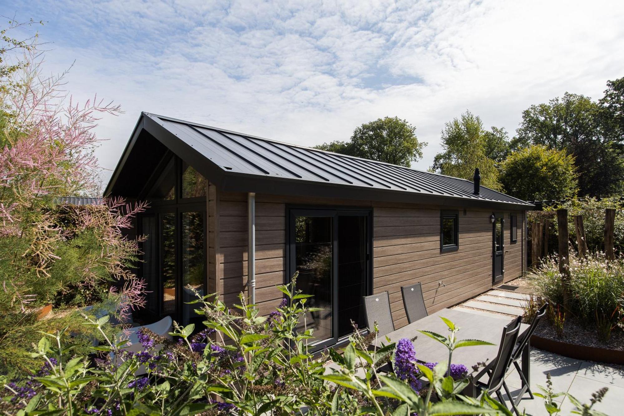 Modern Ingericht Chalet Op Groen Park Op De Veluwe Epe Eksteriør billede