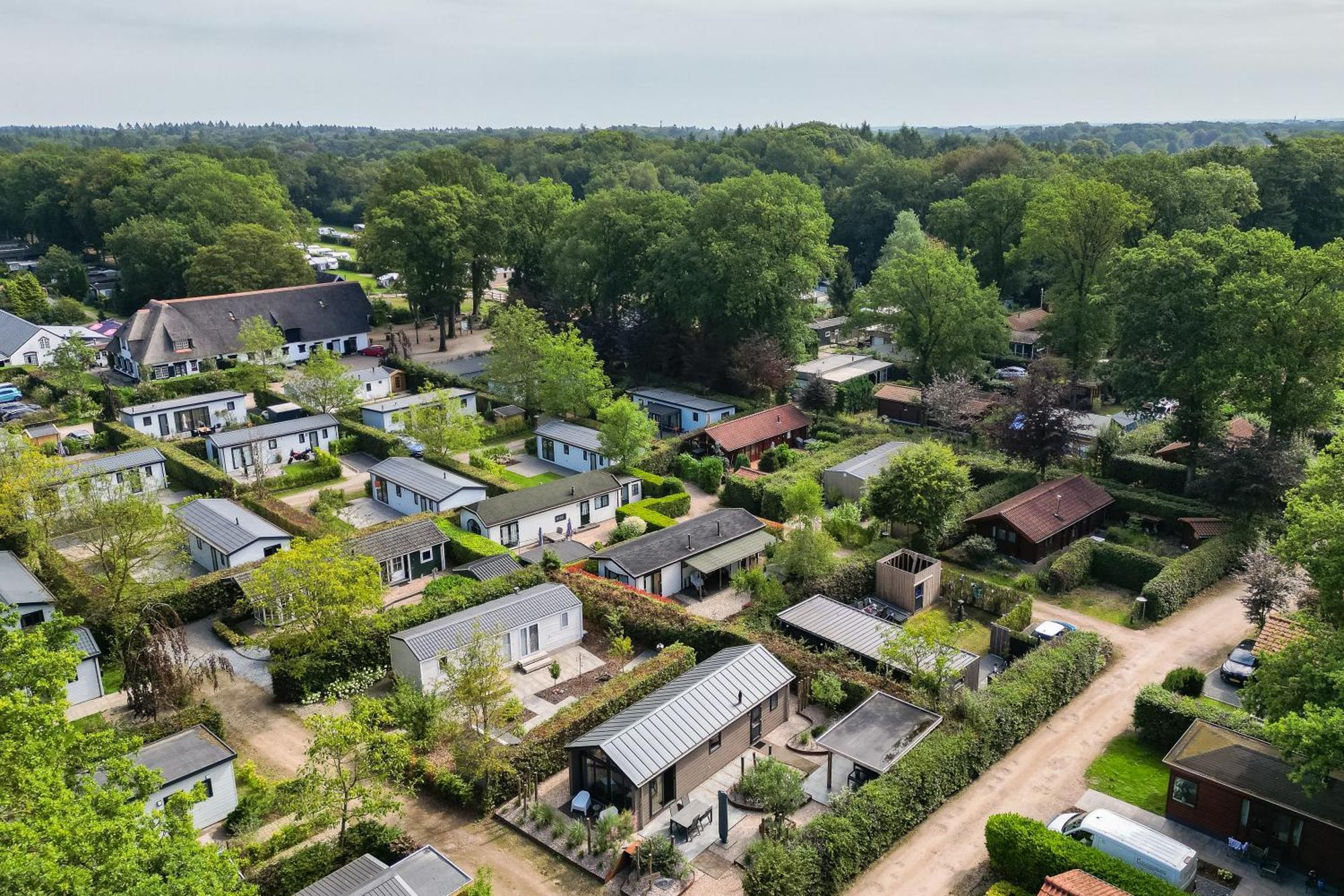 Modern Ingericht Chalet Op Groen Park Op De Veluwe Epe Eksteriør billede