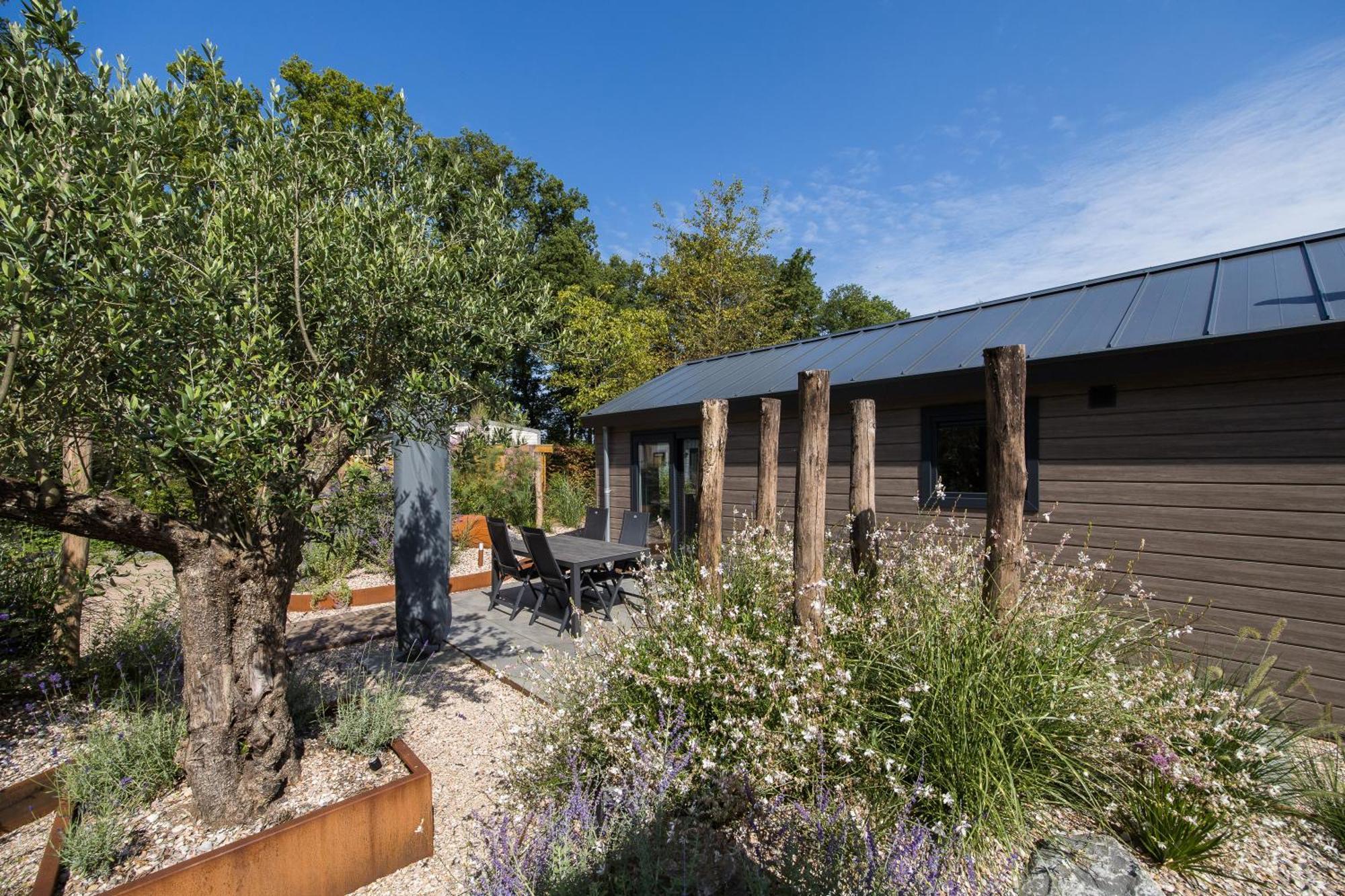 Modern Ingericht Chalet Op Groen Park Op De Veluwe Epe Eksteriør billede