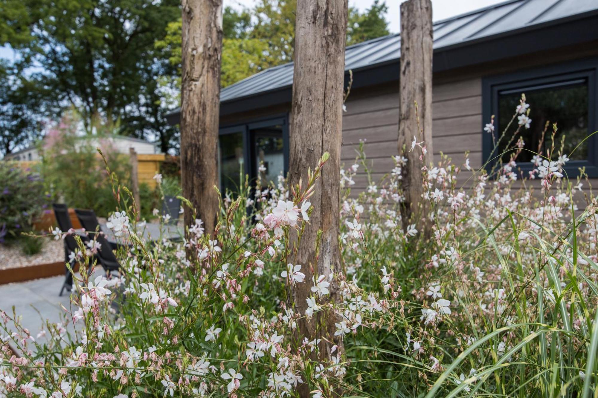 Modern Ingericht Chalet Op Groen Park Op De Veluwe Epe Eksteriør billede